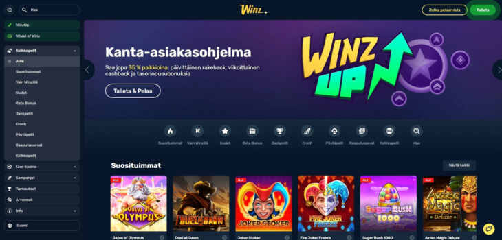winz.io kokemuksia